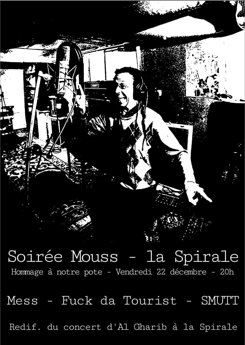 Affiche du concert de Fuck da tourist à la Spirale à Annecy
